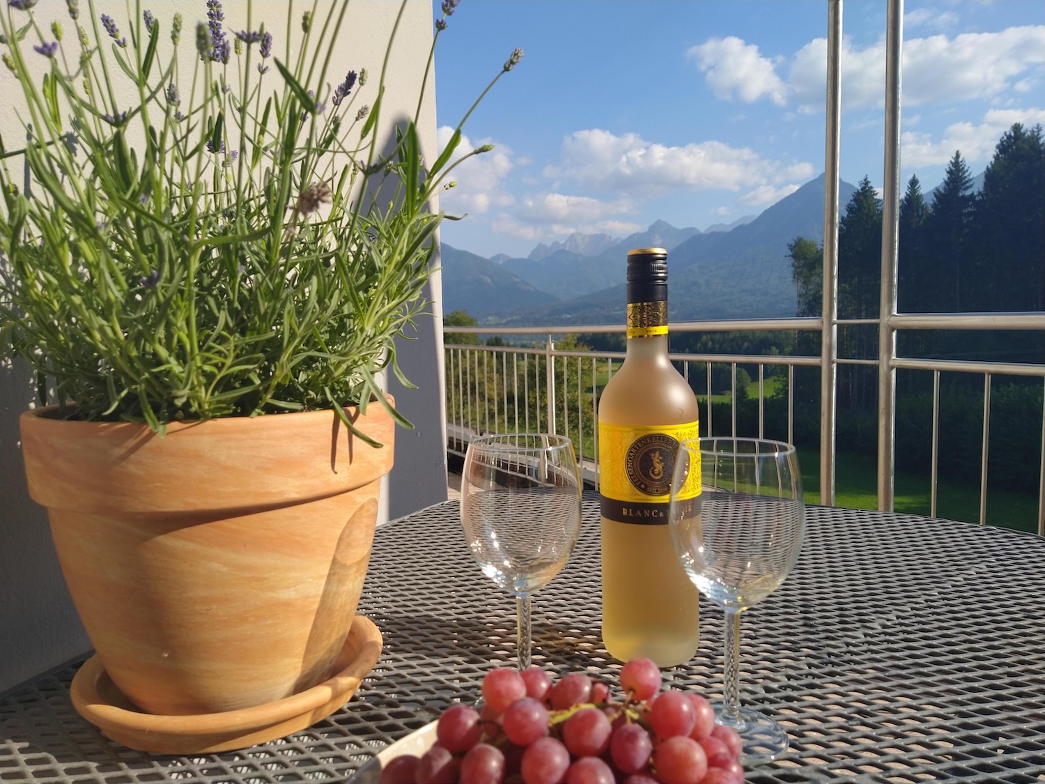 Ferienwohnung Zirbenduft Ausblick auf die Karawanken